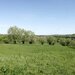 Cacica, Suceava